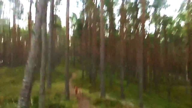 bike hyperlapse: Ķesterciems - Plieņciems смотреть онлайн