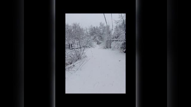 Stoned Cold- staywoke the oracle// PIPE DREAMS THE MIXTAPE смотреть онлайн