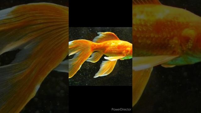 КАК НАРИСОВАТЬ КРУЖКУ?|ЛЕГКО! смотреть онлайн