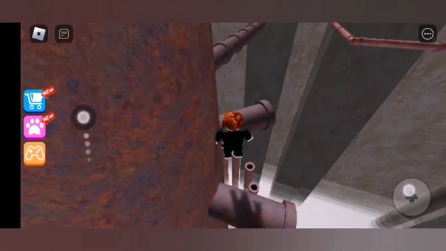 Roblox Carnival Festival