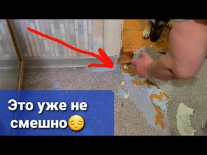 Подобрыши разгромили дом