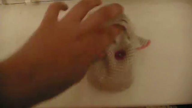 Грелочка 3 в 1 ZerO-99 с вишневыми косточками - отзыв смотреть онлайн