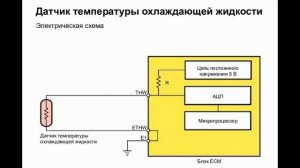 Почему сгорает эбу, контроллер управления инжекторным двигателем на авто. Частая причина