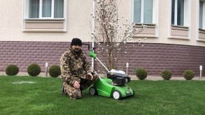 Для чего нужна скарификация газона?