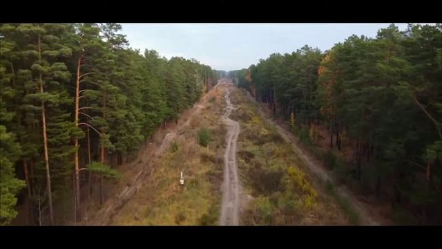 Осень в лесу | cinematic short film | Nikon D3200 смотреть онлайн