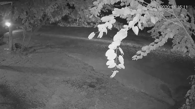 Test chế độ live camera Dahua G22 смотреть онлайн