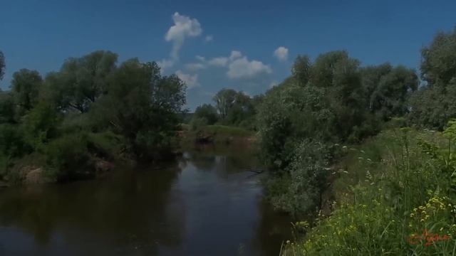 А в Подмосковье водится Протва смотреть онлайн