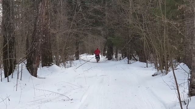 Электрофэтбайк катаемся по лесу electro fatbike смотреть онлайн