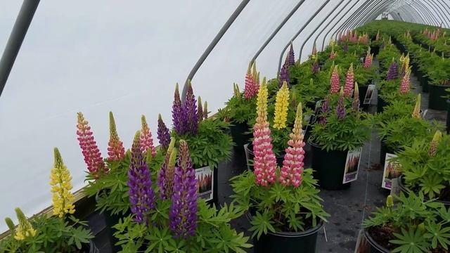 Рыбаки и Природа