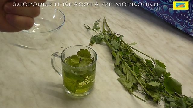 рак желудка, как лечить чистотелом ?