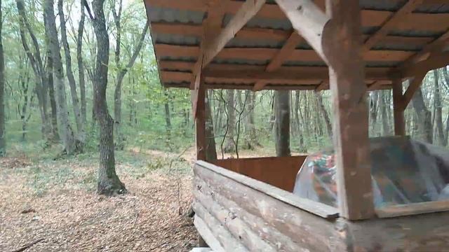 Кафе в лесу смотреть онлайн