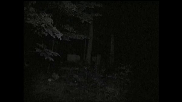 The Scooby Doo Project Movie