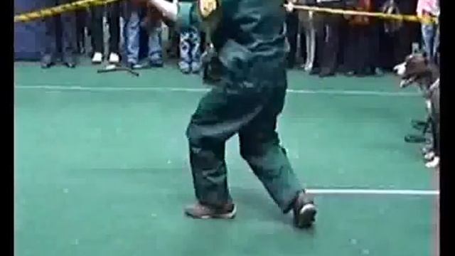 йорк и питбули. дрессировка собак. смотреть онлайн