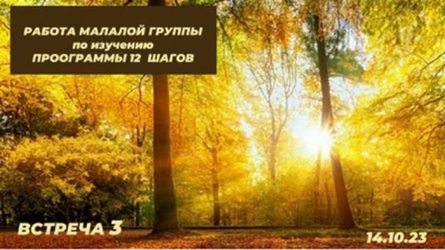 Встреча 3-я Малой группы по 12 Шагам АА. Рассказ Билла (ч.1) смотреть онлайн