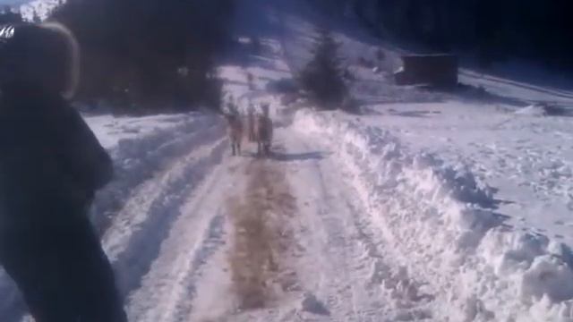 Эмма и козы.3gp смотреть онлайн