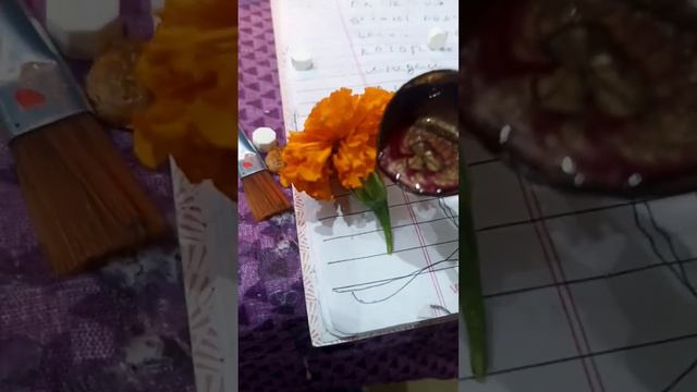 Календула магические свойства 🔮🧿🧙🌿 смотреть онлайн