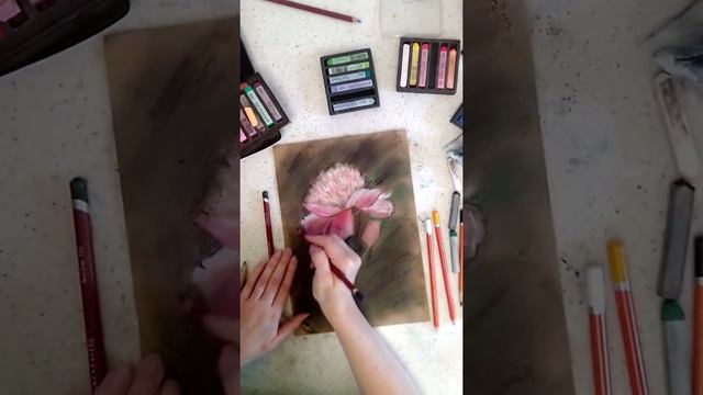 Рисуем пион пастелью - пошаговый видео-урок смотреть онлайн
