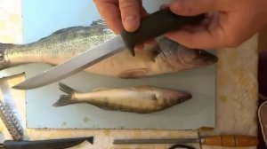 Как чистить судака