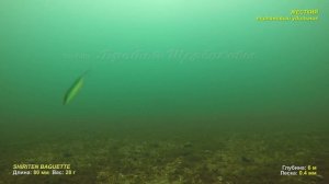 Как vib BAGUETTE Madness Shiriten играет на МЯГКОМ и ЖЕСТКОМ удильнике? ТЕСТ на глубине 6 метров