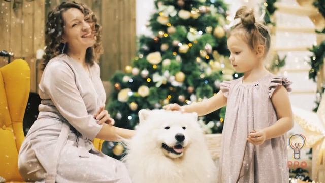 Фотодень "Пушистое облако". ProIDEA Studio смотреть онлайн