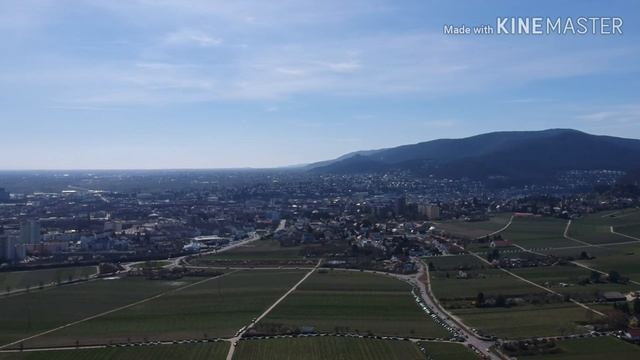 Германия. Как цветёт миндальный орех. смотреть онлайн