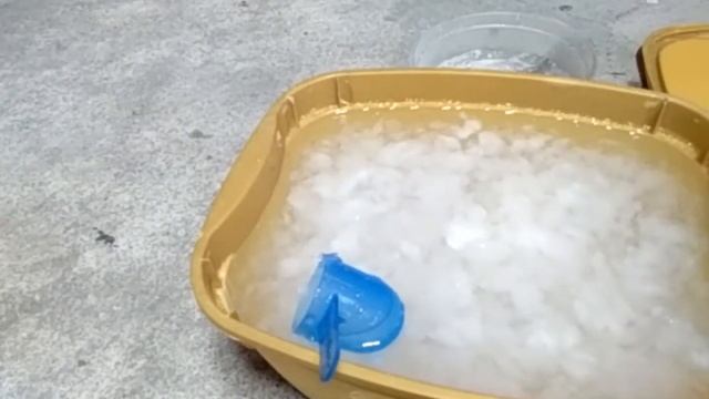 How to water Lats or red runners Update #F.E.Ex смотреть онлайн