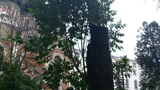 Божья птичка смотреть онлайн