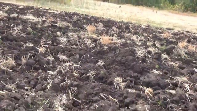 Тестируем Сайгу, влияет ли удлинитель на кучность стрельбы?? смотреть онлайн