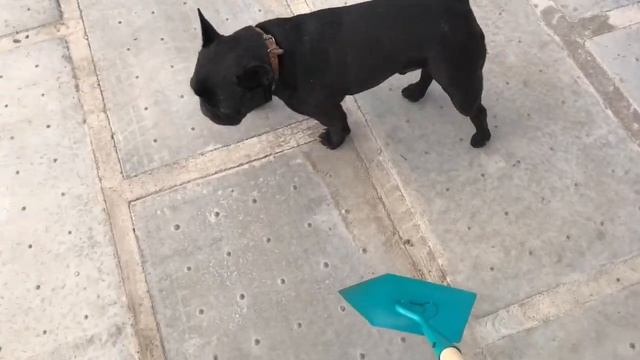 Тяпка утюжок для посадки семян