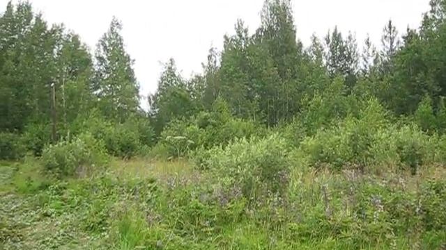 Установка деревянных столбов //поездка на участок // переезд в деревню смотреть онлайн