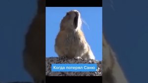 когда потерял Саню