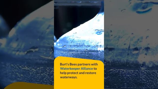 Organic Beauty Brands That Support Clean Water Initiatives #OrganicBeauty#CleanWaterInitiatives#Eco смотреть онлайн