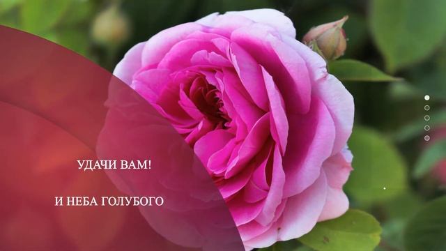 Стихи любимым смотреть онлайн