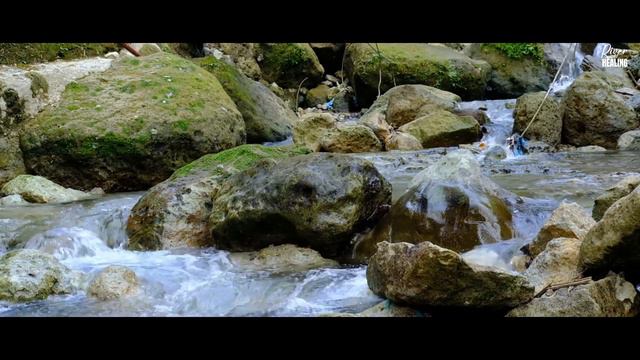 Peaceful sounds of forest stream. Flowing through rocks. Nature video. смотреть онлайн