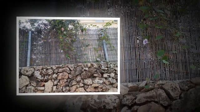 Ноябрь в Израиле Герцлия 09 11 19 смотреть онлайн