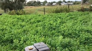 Мотоблок АГРО)))