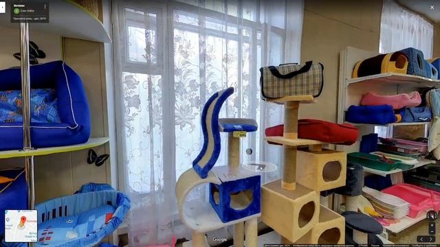 Виртуальный тур по зоомагазину "Котопес" смотреть онлайн
