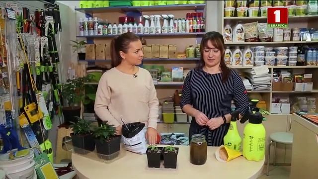 Кормим рассаду по природному с передачей Дача смотреть онлайн