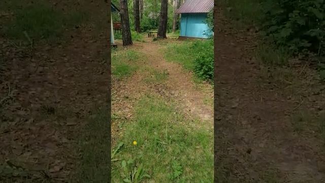 База отдыха Бухта, Новосибирская область, Искитимский район