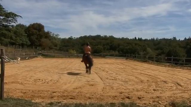 Joseph Zbukvic - Rural France In Watercolour