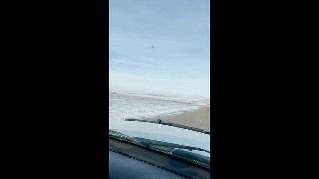 Охота на Лося. Казахстан. 2021 смотреть онлайн
