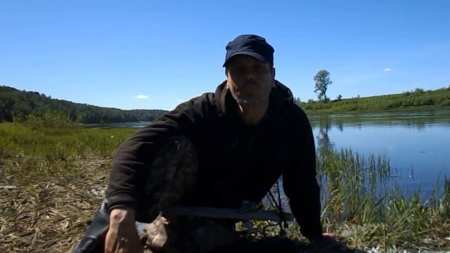 Дикий лук смотреть онлайн