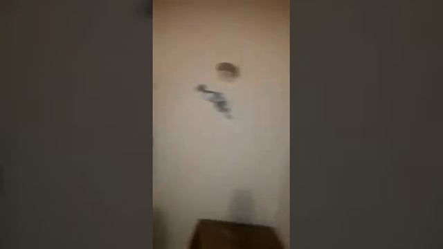 video Juan Pablo Rojas смотреть онлайн