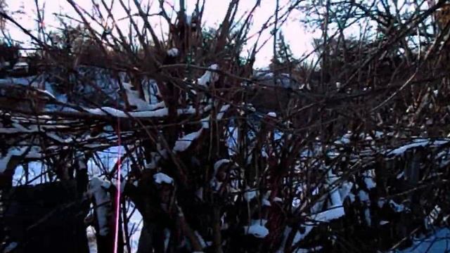 FloridaYalta РЕМОНТ ЛОБОВОГО СТЕКЛА Toyota 4Runner. Кого разводит Флорида Ялта смотреть онлайн