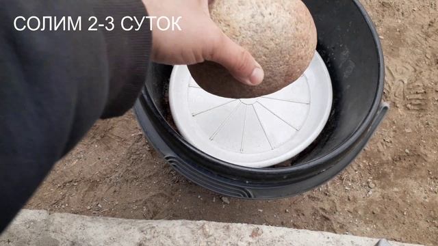 КАРАСЬ КОПЧЕНЫЙ И СОЛЕНЫЙ ПАЛЬЧИКИ ОБЛИЖЕШ смотреть онлайн