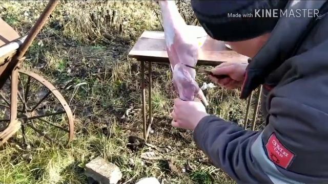 как правильно разделать кролика ???!!! смотреть онлайн