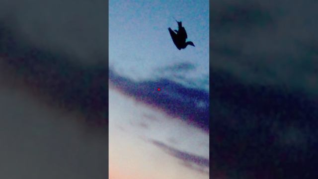 Эпичные выстрелы\падения по гусю 2024 смотреть онлайн