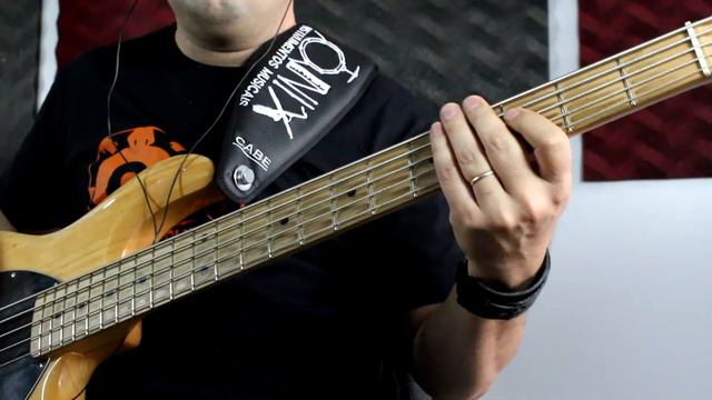 Bass Cover - Alabadle - Marcos Witt - Por Iris Cabelera смотреть онлайн