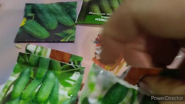 Готовлю обед. Разбираю семена, скоро посадочный сезон??????????? смотреть онлайн
