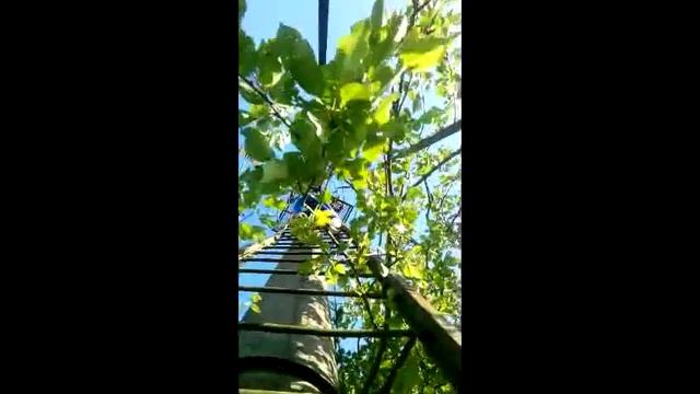 Экстремальный Громоотвод)) смотреть онлайн